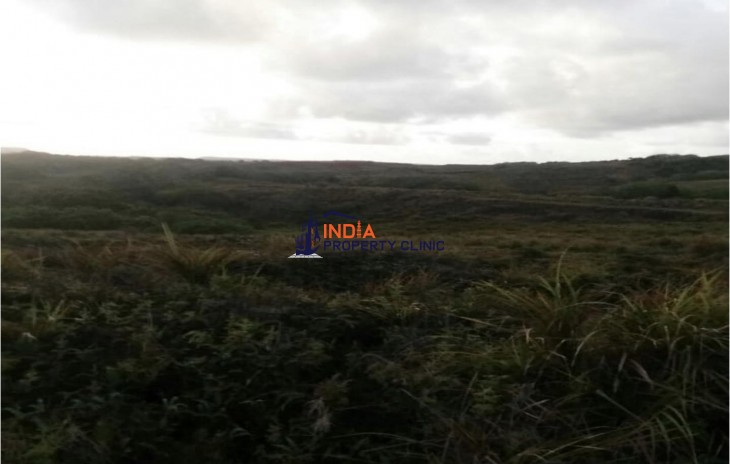 Land For Sale in Bubulao