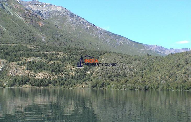 Land For Sale in Cholila