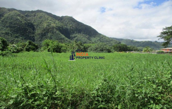 Land For Sale in Papao