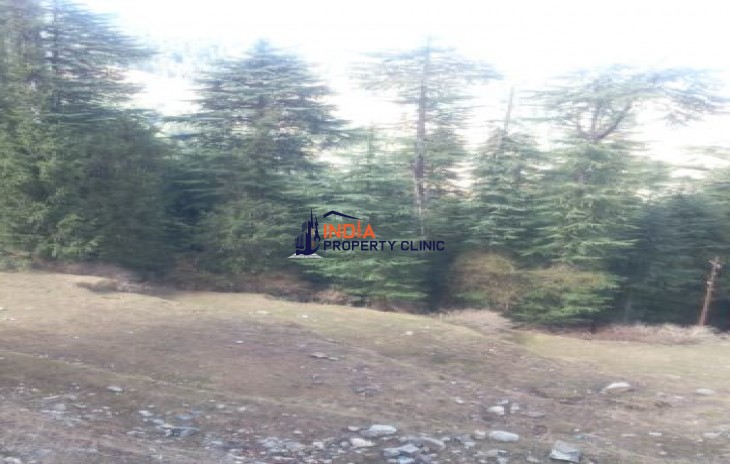 46 Biswa Land For Sale Mashobra Shimla