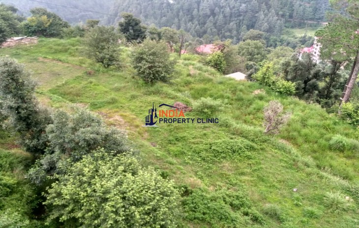 24 Bigha Land For Sale In Shimla MC Area