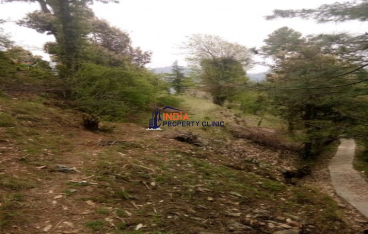 15 Biswa plot For Sale In Mashobra Shimla