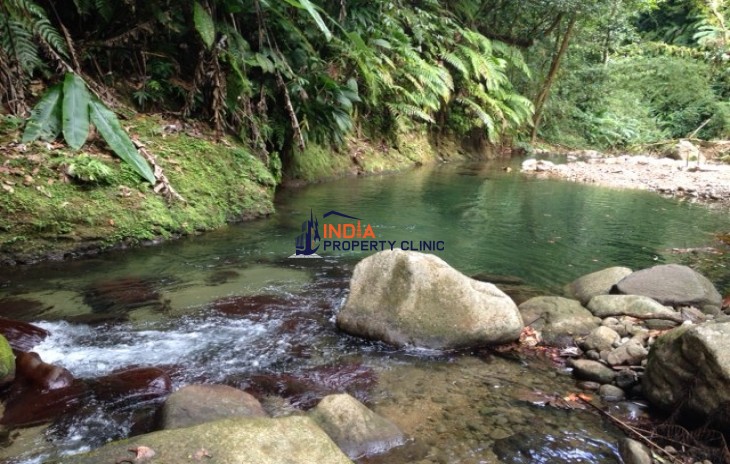 35 Acres of Land for Sale in Dominica