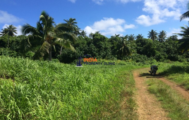 Ocean Side Land For Sale in Vaitupa